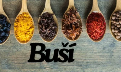 The Flavorful World of Buší: A Culinary Journey Through History and Culture