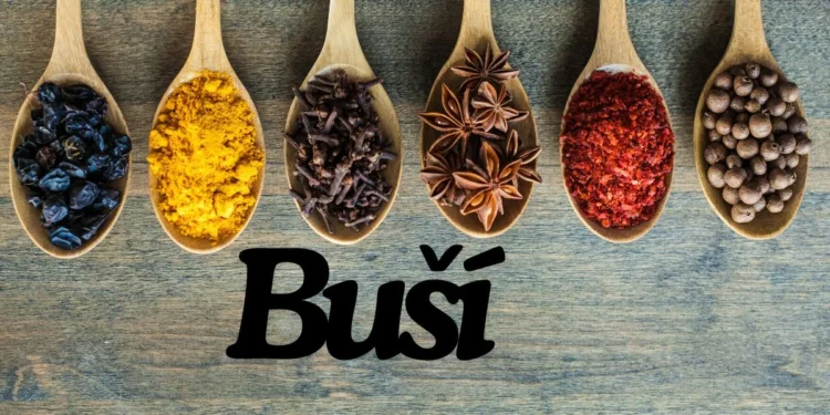 The Flavorful World of Buší: A Culinary Journey Through History and Culture