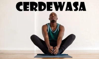 The Rise of Cerdewasa: Exploring Its Benefits and Practical Uses