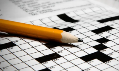 Arousing Suspicion NYT Crossword Clue Explained