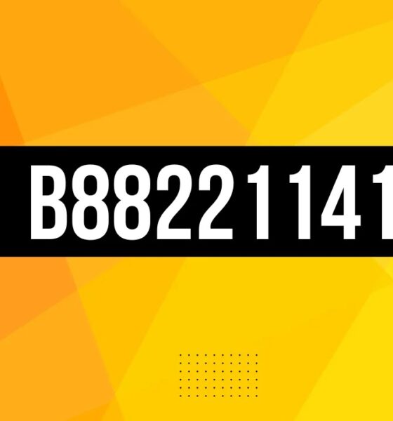 What is B88221141? Everything You Need to Know