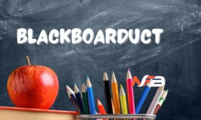 UCT Blackboard: The Ultimate Guide for Students at the University of Cape Town