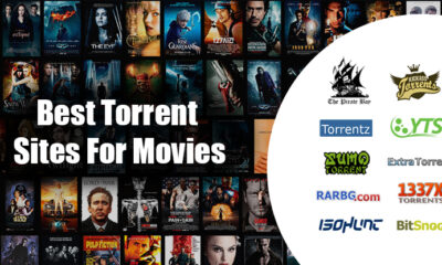 Torrent Sites: The Pros, Cons, and Legal Implications