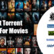 Torrent Sites: The Pros, Cons, and Legal Implications